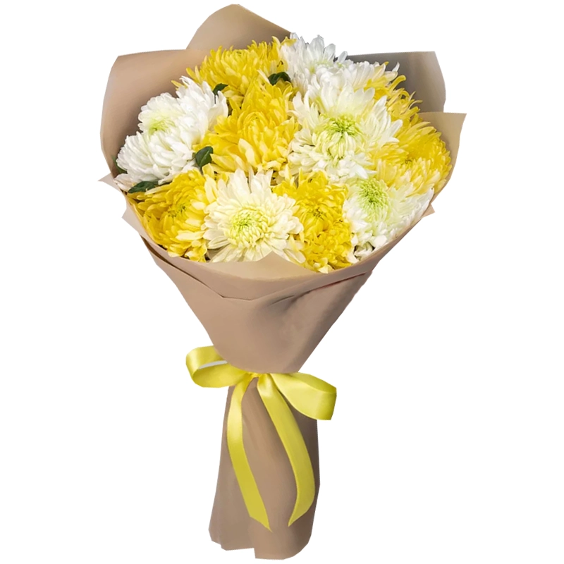 Букет из 11 белых и желтых одноголовых хризантем