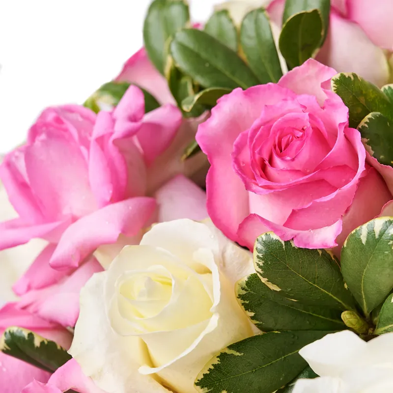 Цветы в коробке Небесные правила