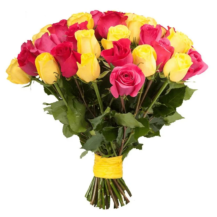 Розы Эквадор микс Желто-Розовые