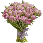 Тюльпан пионовидный сиреневый